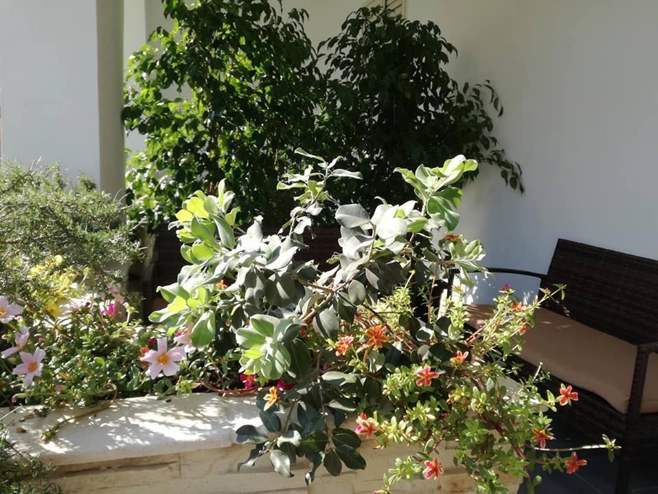 Vianova Affittacamere Giurdignano Εξωτερικό φωτογραφία